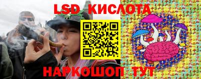 СК Будённовск