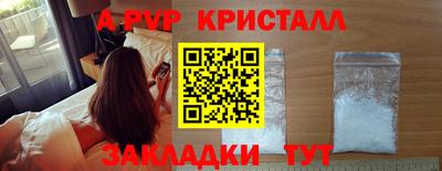 СК Будённовск